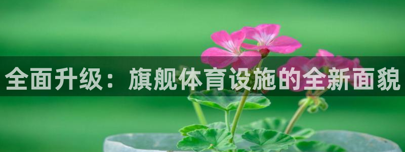 意昂5(KGAME)新能源：全面升级：旗舰体育设施的