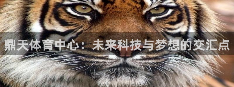 意昂5(KGAME)体育招商电话号码查询：鼎天体育中