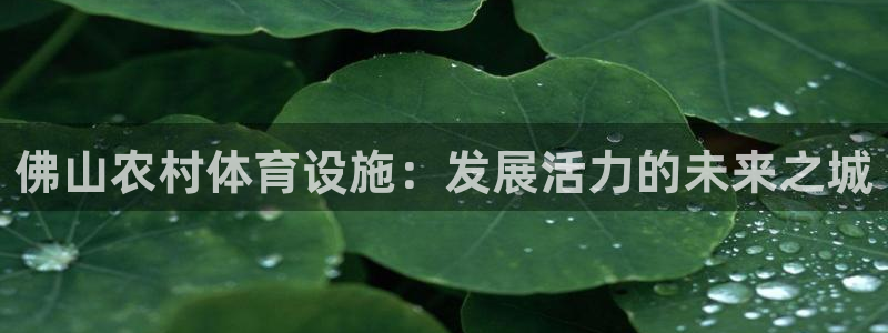 意昂5(KGAME)体育娱乐：佛山农村体育设施：发展