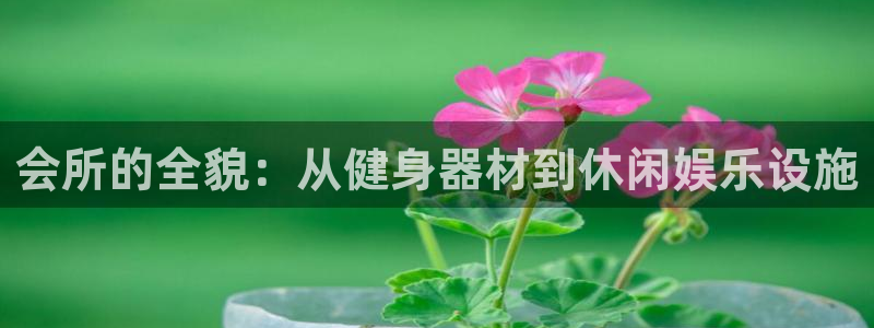 意昂5(KGAME)集团官网首页：会所的全貌：从健身器材到休