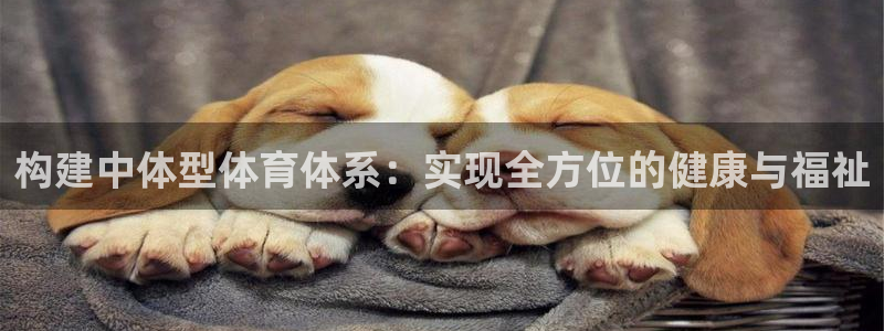 意昂5(KGAME)娱乐首页网站大全：构建中体型体育体系：实 