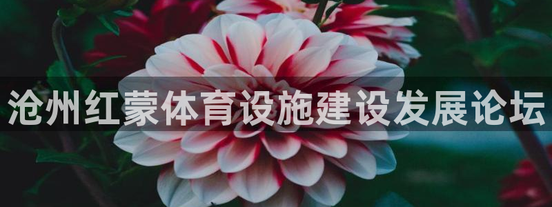 意昂5(KGAME)集团logo