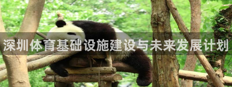 意昂5(KGAME)体育平台注册要钱吗：深圳体育基础设施建设