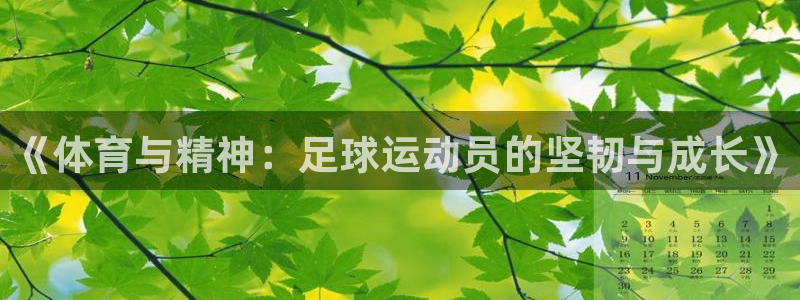 球速体育