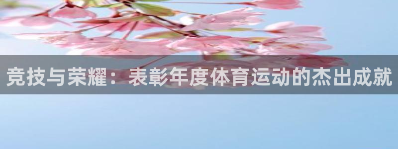 球速体育：竞技与荣耀：表彰年度体育运动的杰出成就