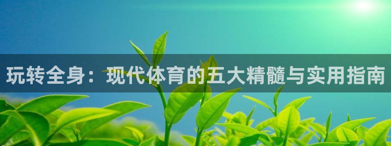 球速体育：玩转全身：现代体育的五大精髓与实用指南