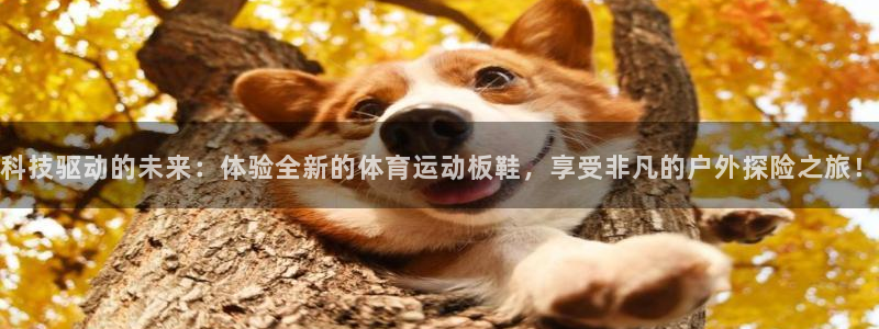 球速体育：科技驱动的未来：体验全新的体育运动板鞋，享受非凡的户外探险之旅！