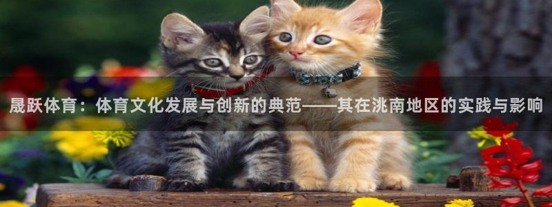 球速体育：晟跃体育：体育文化发展与创新的典范——其在洮南地区的实践与影响