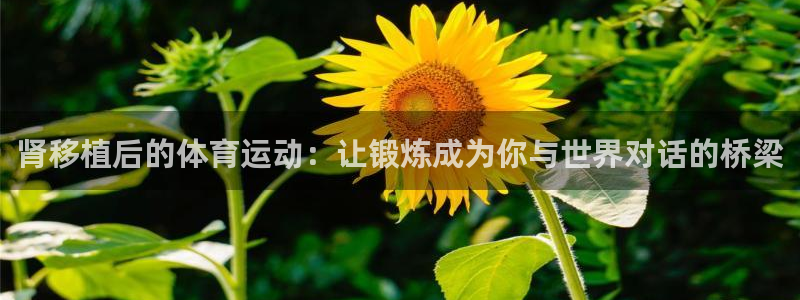 球速体育