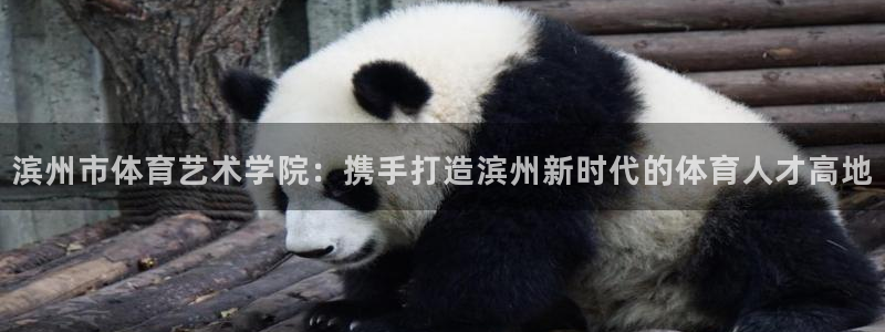 球速体育：滨州市体育艺术学院：携手打造滨州新时代的体育人才高地