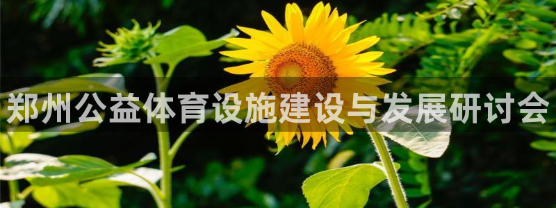 意昂5(KGAME)集团官网网址：郑州公益体育设施建设与发展